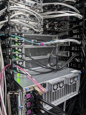 Rückansicht mehrerer Server in einem 19-Zoll-Rack. Jeder Server hat mehrere Stromanschlüsse, deren LEDs alle grün leuchten. Ein paar der Server sind per Glasfaser ans Netzwerk angeschlossen, die anderen mit normalen Ethernetkabeln.